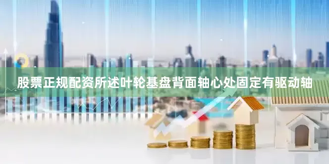 股票正规配资所述叶轮基盘背面轴心处固定有驱动轴