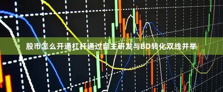 股市怎么开通杠杆通过自主研发与BD转化双线并举
